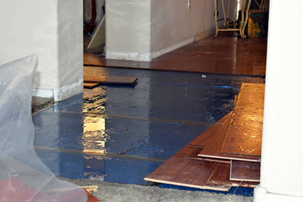 Professional Burst Pipe Cleanup technician working in Cross Plains, TX